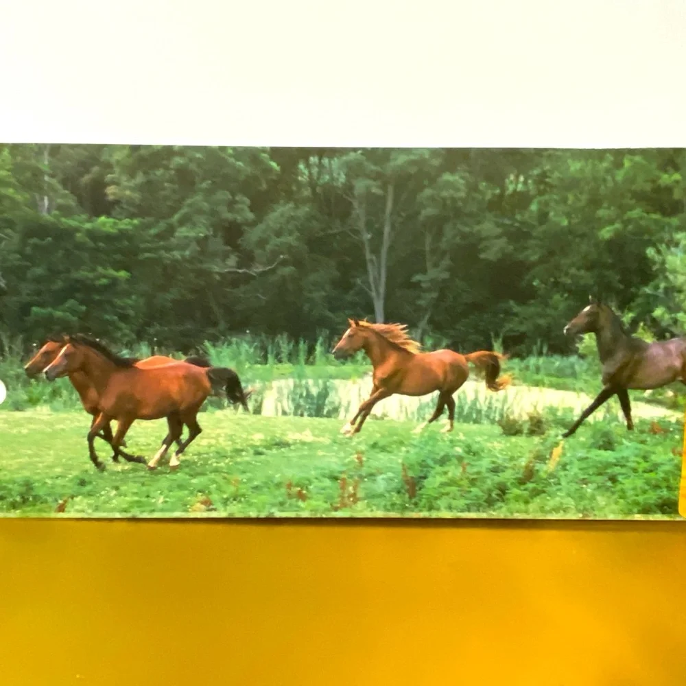 HORSES VINTAGE 90’s PORTFOLIO 3 RING BINDER FOLDERS BUNDLE OF 3 GREAT FOR SCHOOL
